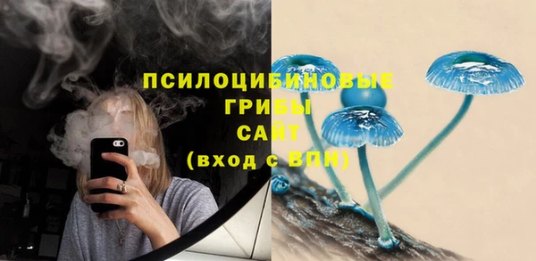 амф Аркадак