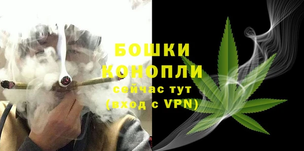 амф Аркадак