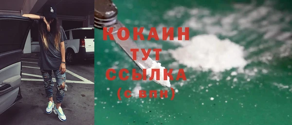 спайс Губаха