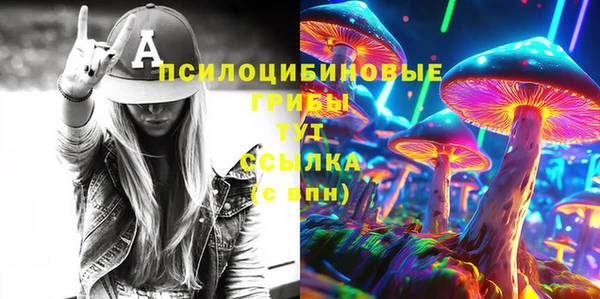дживик Арсеньев
