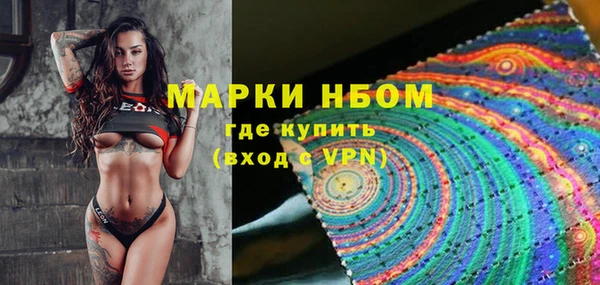 амф Аркадак