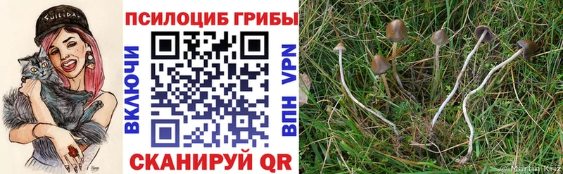Галлюциногенные грибы Magic Shrooms Карачев